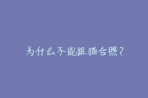 为什么不能跟猫合照?-动物百科