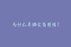为什么养猫会有感情?-动物百科