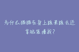 为什么猫猫在身上踩来踩去还拿脑袋撞我?-动物百科