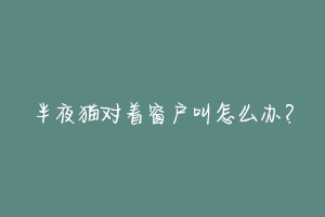 半夜猫对着窗户叫怎么办?-动物百科