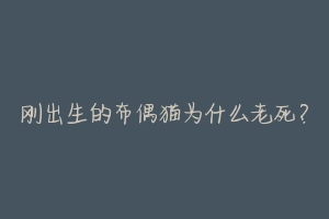 刚出生的布偶猫为什么老死?-动物百科