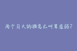 两个月大的猫怎么叫算虚弱?-动物百科