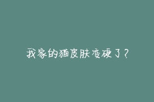 我家的猫皮肤变硬了?-动物百科