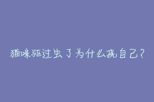 猫咪驱过虫了为什么挠自己?-动物百科