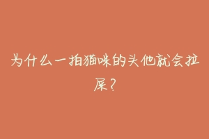 为什么一拍猫咪的头他就会拉屎?-动物百科