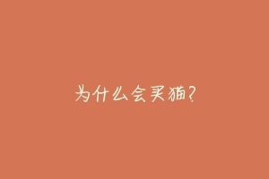 为什么会买猫?-动物百科