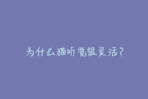 为什么猫听觉很灵活?-动物百科