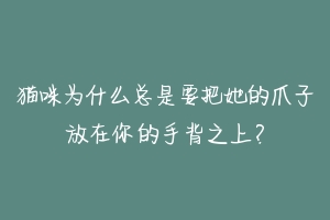 猫咪为什么总是要把她的爪子放在你的手背之上?-动物百科
