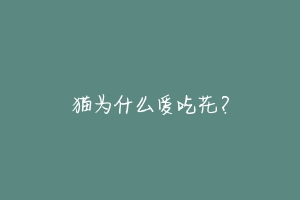 猫为什么爱吃花?-动物百科