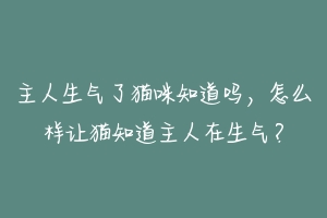 主人生气了猫咪知道吗,怎么样让猫知道主人在生气?-动物百科