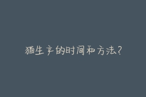 猫生产的时间和方法?-动物百科