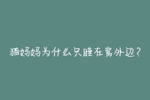 猫妈妈为什么只睡在窝外边?-动物百科