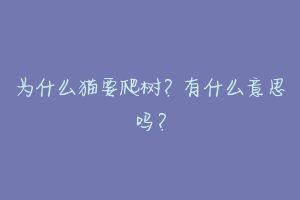 为什么猫要爬树?有什么意思吗?-动物百科