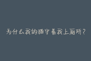 为什么我的猫守着我上厕所?-动物百科