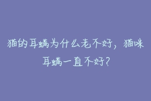 猫的耳螨为什么老不好,猫咪耳螨一直不好?-动物百科