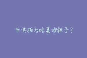 布偶猫为啥喜欢鞋子?-动物百科