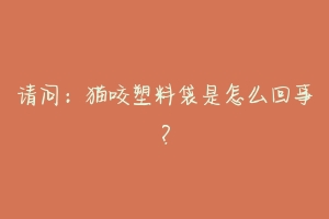 请问:猫咬塑料袋是怎么回事?-动物百科