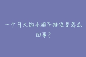 一个月大的小猫不排便是怎么回事?-动物百科