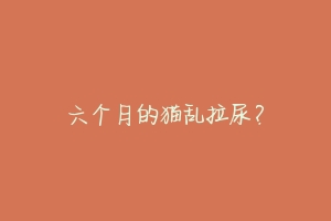 六个月的猫乱拉尿?-动物百科
