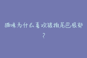 猫咪为什么喜欢被拍尾巴根部?-动物百科