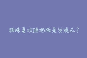 猫咪喜欢睡地板是发烧么?-动物百科