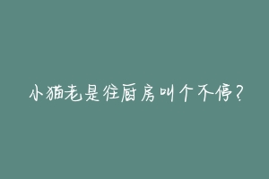 小猫老是往厨房叫个不停?-动物百科