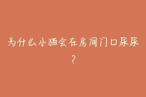为什么小猫会在房间门口尿尿?-动物百科