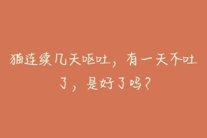 猫连续几天呕吐,有一天不吐了,是好了吗?-动物百科