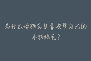 为什么母猫总是喜欢帮自己的小猫舔毛?-动物百科