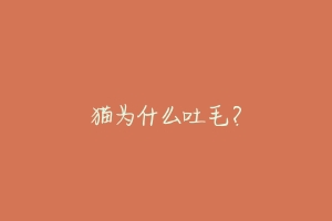 猫为什么吐毛?-动物百科