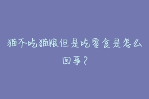 猫不吃猫粮但是吃零食是怎么回事?-动物百科