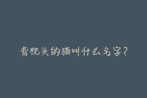 背枕头的猫叫什么名字?-动物百科