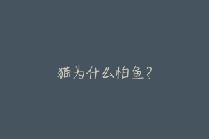 猫为什么怕鱼?-动物百科