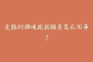 走路时猫咪抱我腿是怎么回事?-动物百科