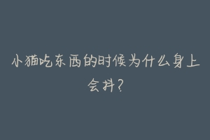 小猫吃东西的时候为什么身上会抖?-动物百科