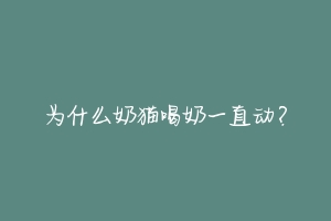 为什么奶猫喝奶一直动?-动物百科
