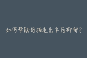 如何帮助母猫走出产后抑郁?-动物百科