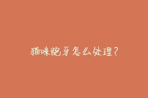 猫咪龅牙怎么处理?-动物百科