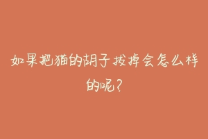 如果把猫的胡子拔掉会怎么样的呢?-动物百科