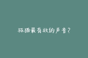 驱猫最有效的声音?-动物百科