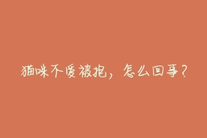 猫咪不爱被抱,怎么回事?-动物百科