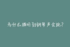 为什么猫听到钢琴声会跑?-动物百科