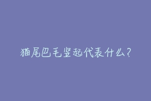 猫尾巴毛竖起代表什么?-动物百科
