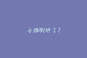 小猫脚肿了?-动物百科