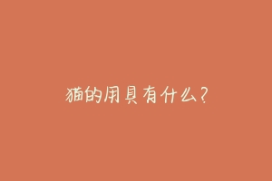 猫的用具有什么?-动物百科