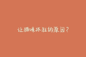 让猫咪抓狂的原因?-动物百科