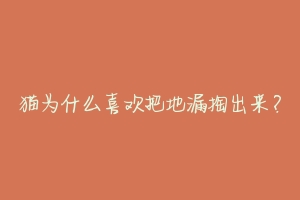 猫为什么喜欢把地漏掏出来?-动物百科
