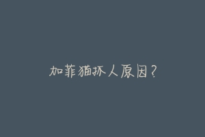 加菲猫抓人原因?-动物百科