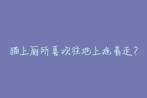 猫上厕所喜欢往地上拖着走?-动物百科