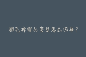 猫毛掉得厉害是怎么回事?-动物百科